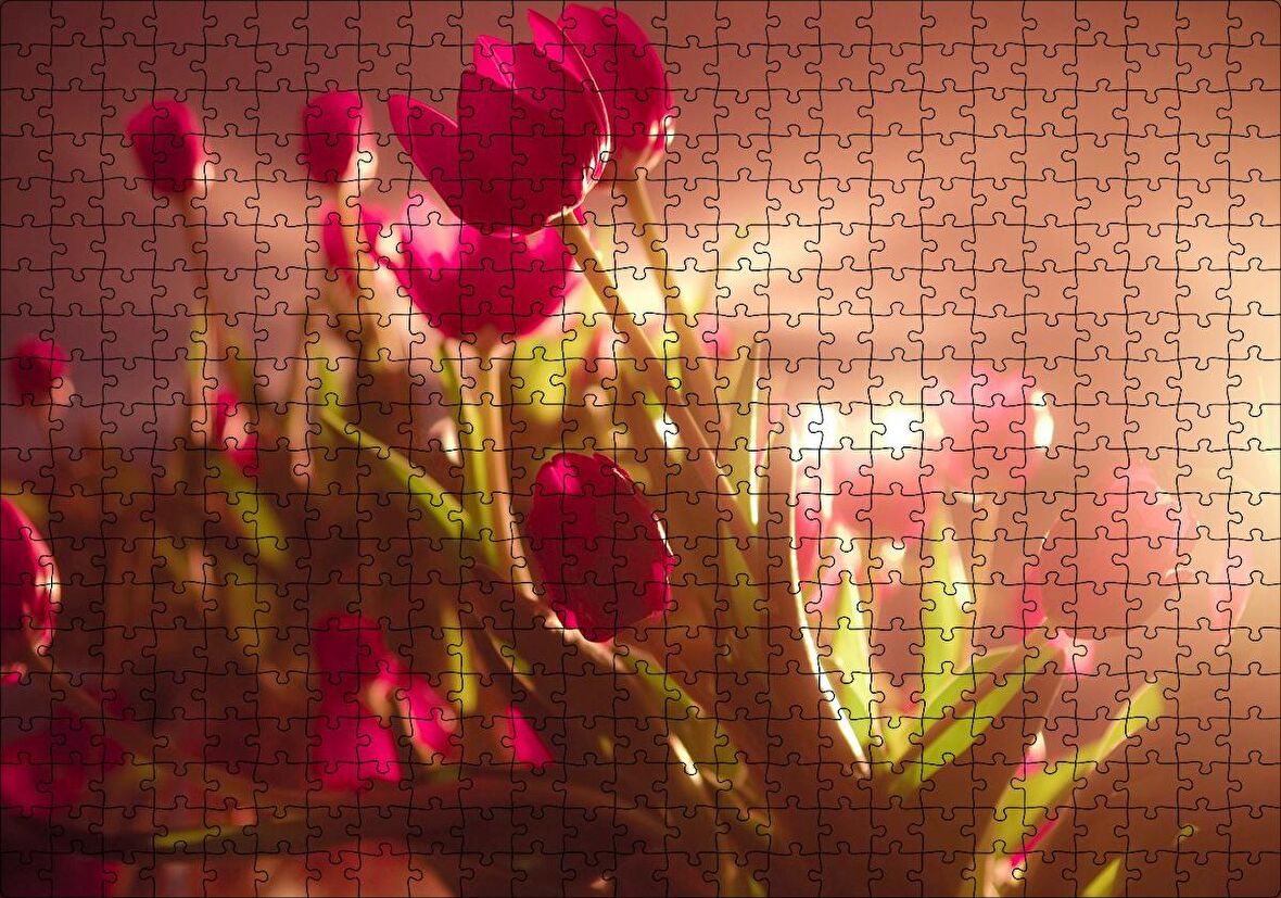 Cakapuzzle Kırmızı Laleler ve Güneş Işıkları Puzzle Yapboz MDF Ahşap