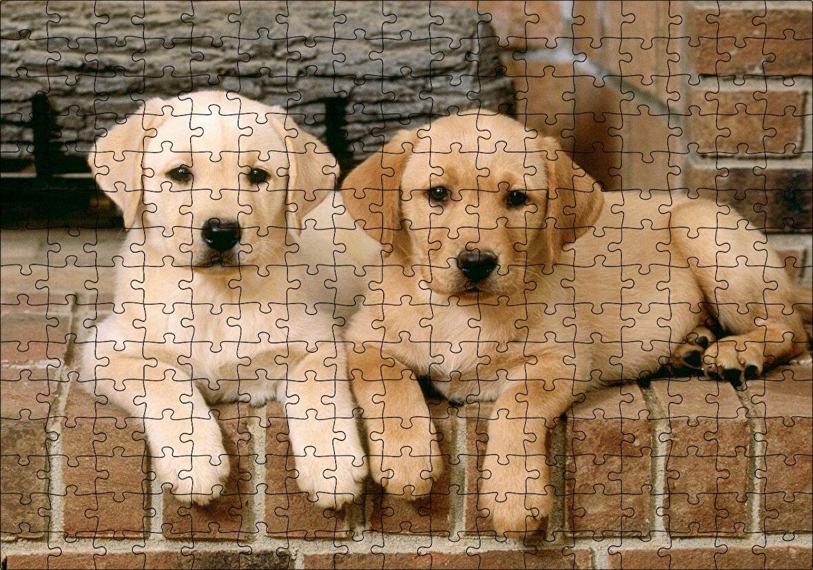 Cakapuzzle Şöminenin Önünde İki Labrador Yavrusu Puzzle Yapboz MDF Ahşap