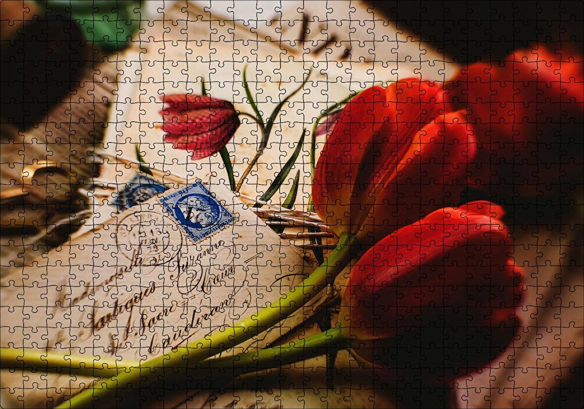 Cakapuzzle Aşk Mektupları ve Kırmızı Laleler Puzzle Yapboz MDF Ahşap