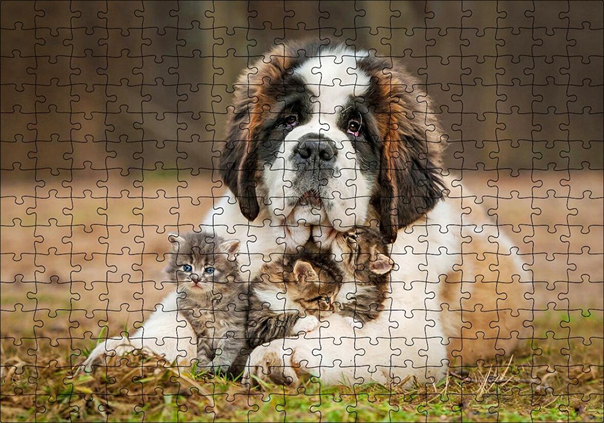 Cakapuzzle Çayırda Sen Bernard ve Kucağında Yavru Kediler Puzzle Yapboz MDF Ahşap