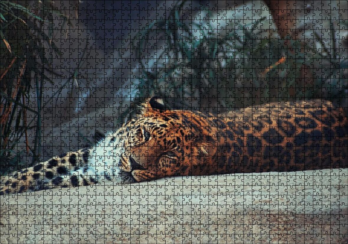 Cakapuzzle Kayanın Üzerinde Dinlenen Uykulu Jaguar Puzzle Yapboz MDF Ahşap