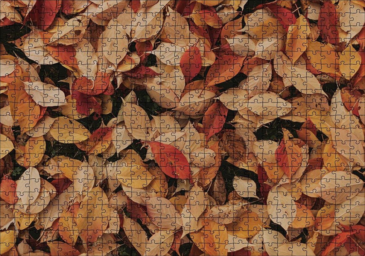 Cakapuzzle Üstüste Sonbahar Yaprakları Puzzle Yapboz MDF Ahşap