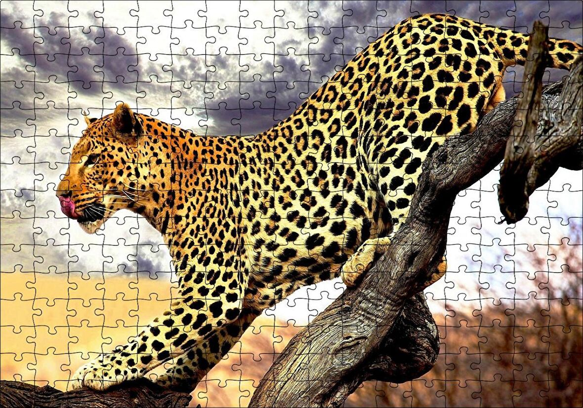 Cakapuzzle Yaban Hayat Leopar Hayvan Görseli Puzzle Yapboz MDF Ahşap