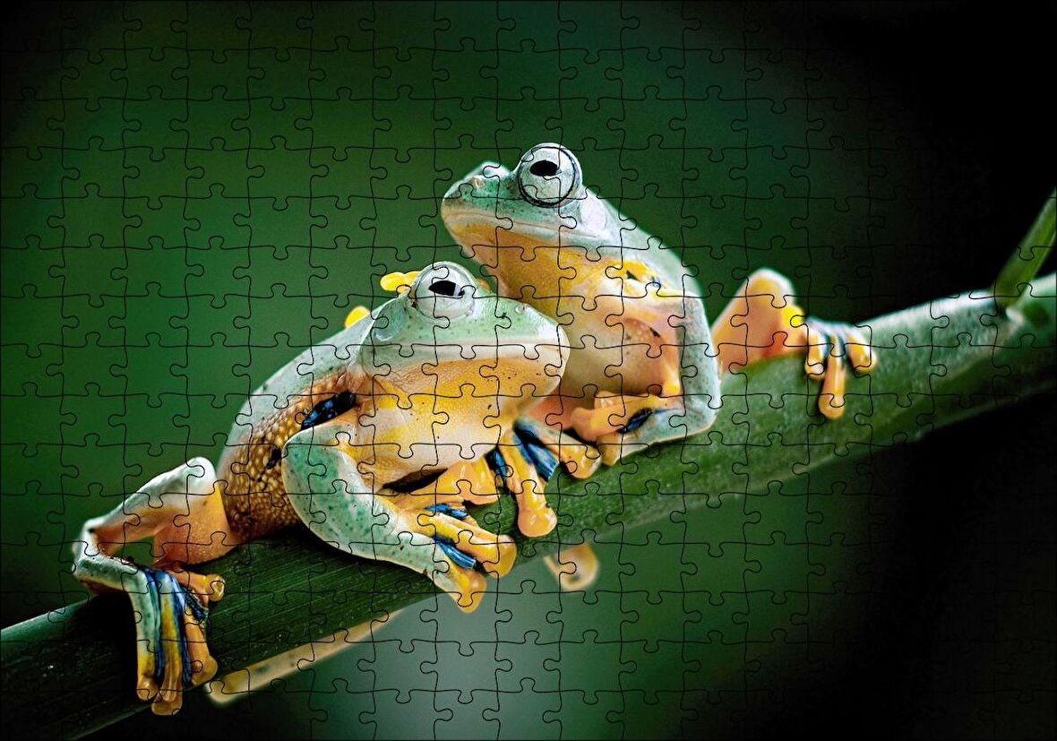 Cakapuzzle Yeşil Dalda Bir Çift Kurbağa Puzzle Yapboz MDF Ahşap