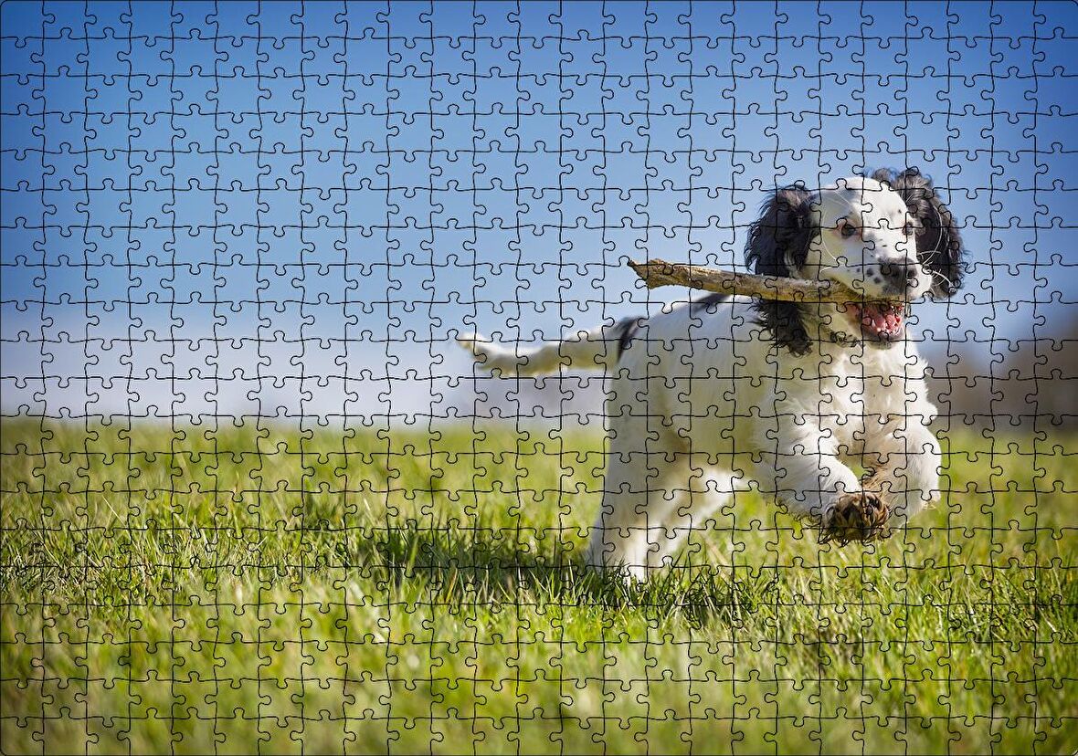 Cakapuzzle Çayırda Oyun Oynayan Sevimli Köpek Puzzle Yapboz MDF Ahşap