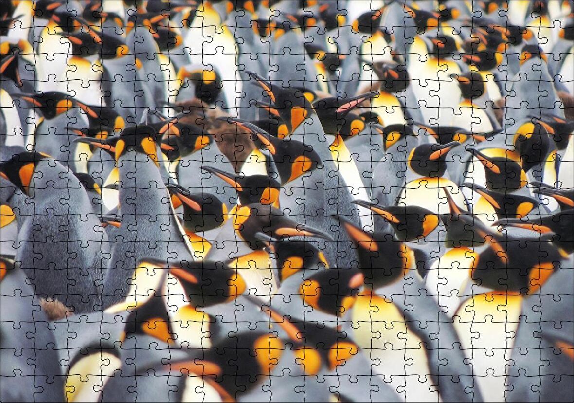 Cakapuzzle İmpataror Penguenleri Bir Arada Puzzle Yapboz MDF Ahşap