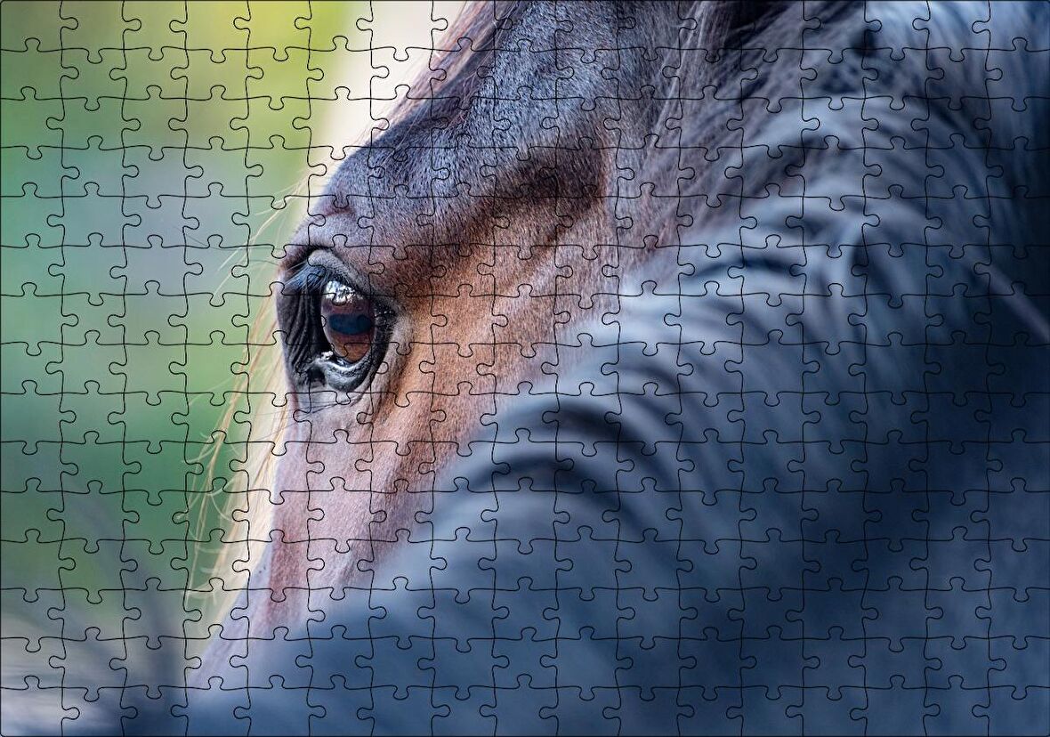 Cakapuzzle Kahverengi At Gözü Arkadan Yakın Çekim Puzzle Yapboz MDF Ahşap