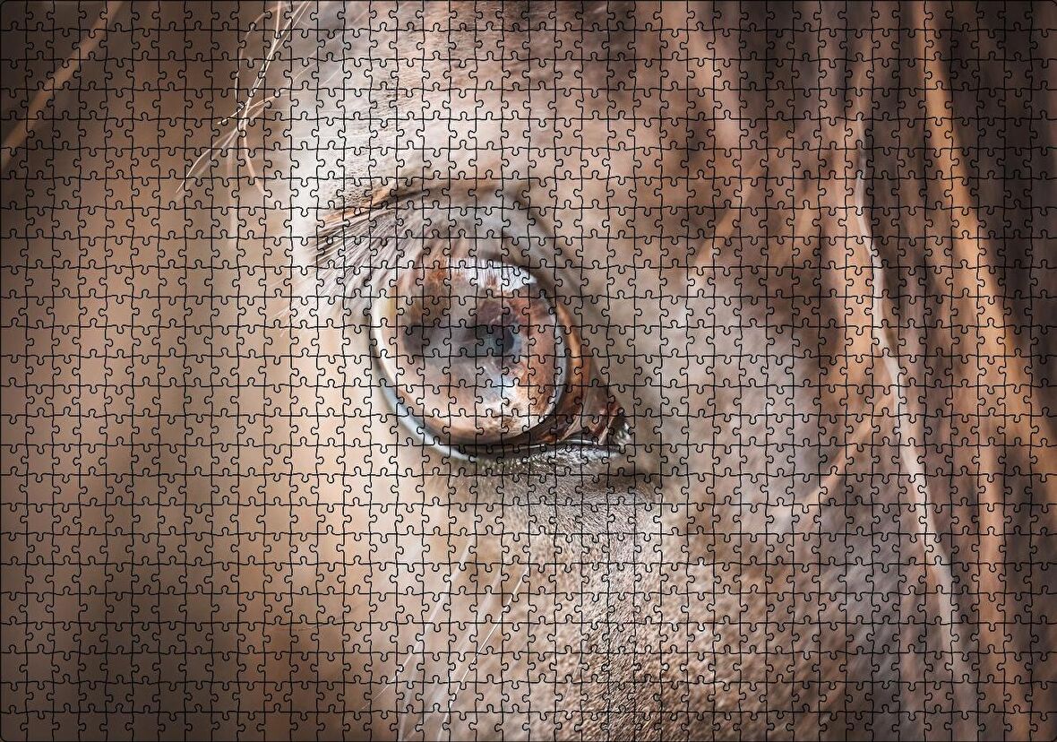Cakapuzzle Kahverengi Atın Gözü Yakın Çekim Puzzle Yapboz MDF Ahşap