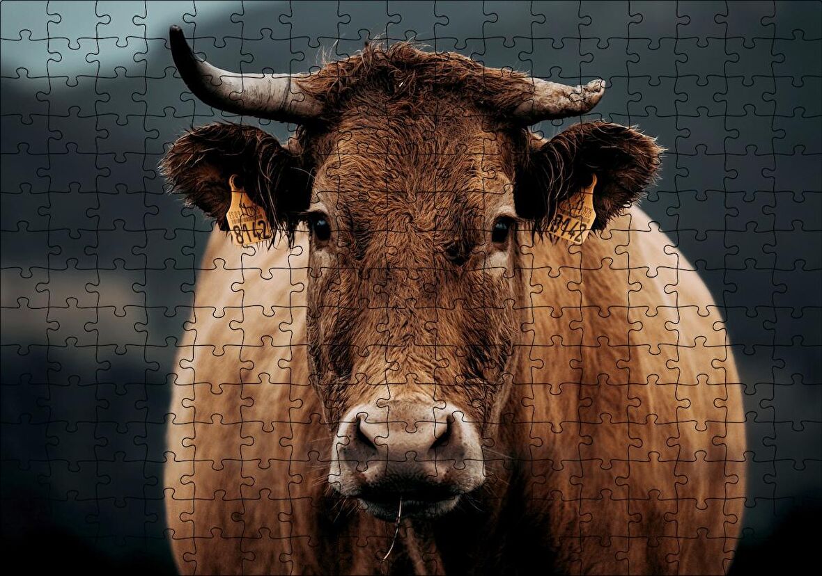 Cakapuzzle Kahverengi İnek Yakın Çekim Flu Arka Plan Puzzle Yapboz MDF Ahşap