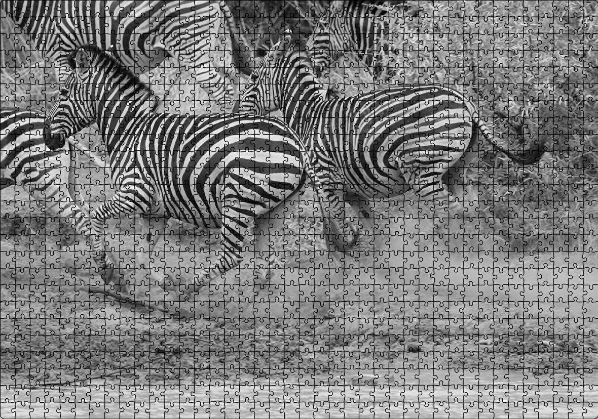 Cakapuzzle Su Kenarında Kaçan Zebralar Siyah Beyaz Puzzle Yapboz MDF Ahşap