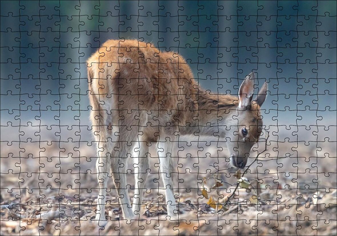 Cakapuzzle Yavru Geyik ve Yerde Kuru Yapraklar Puzzle Yapboz MDF Ahşap
