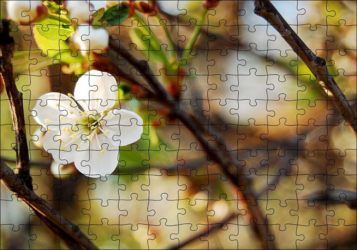 Cakapuzzle Beyaz Çiçek Arkaplanda Dallar ve Flu Yapraklar Puzzle Yapboz MDF Ahşap