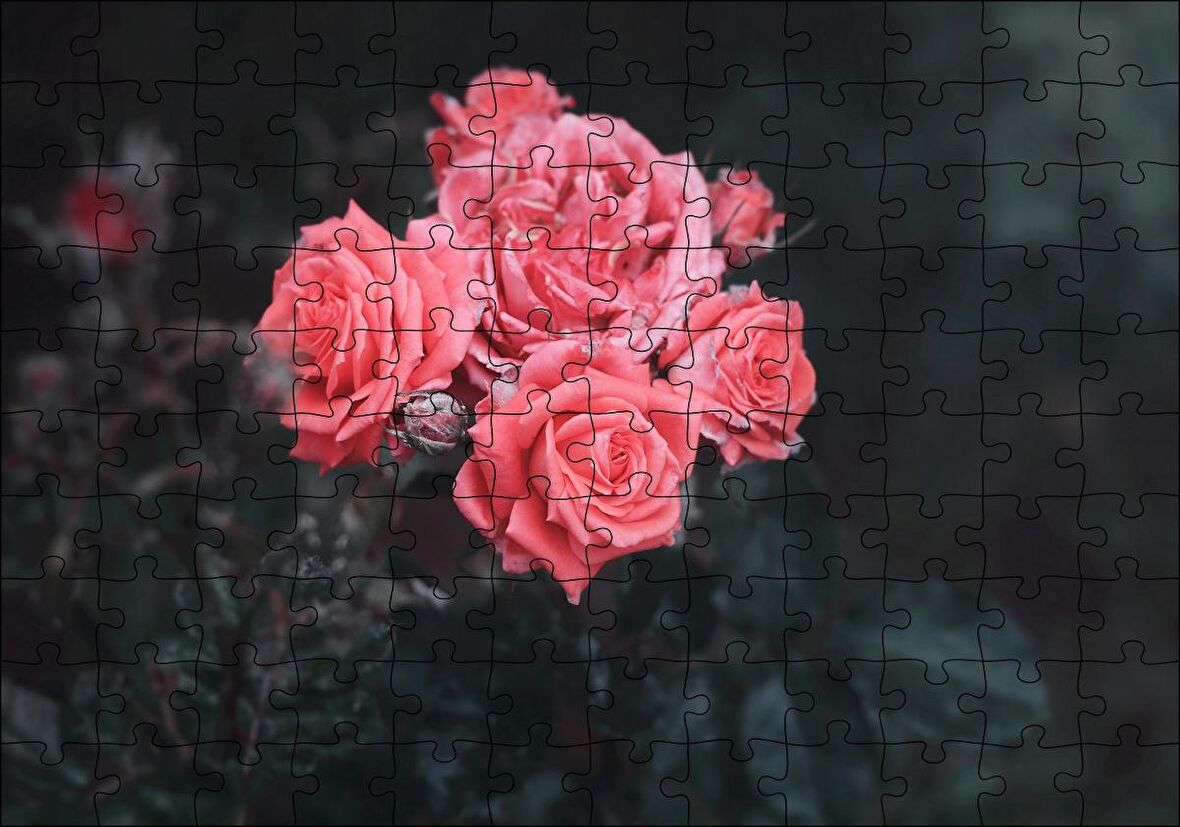 Cakapuzzle Bir Arada Pembe Güller Puzzle Yapboz MDF Ahşap
