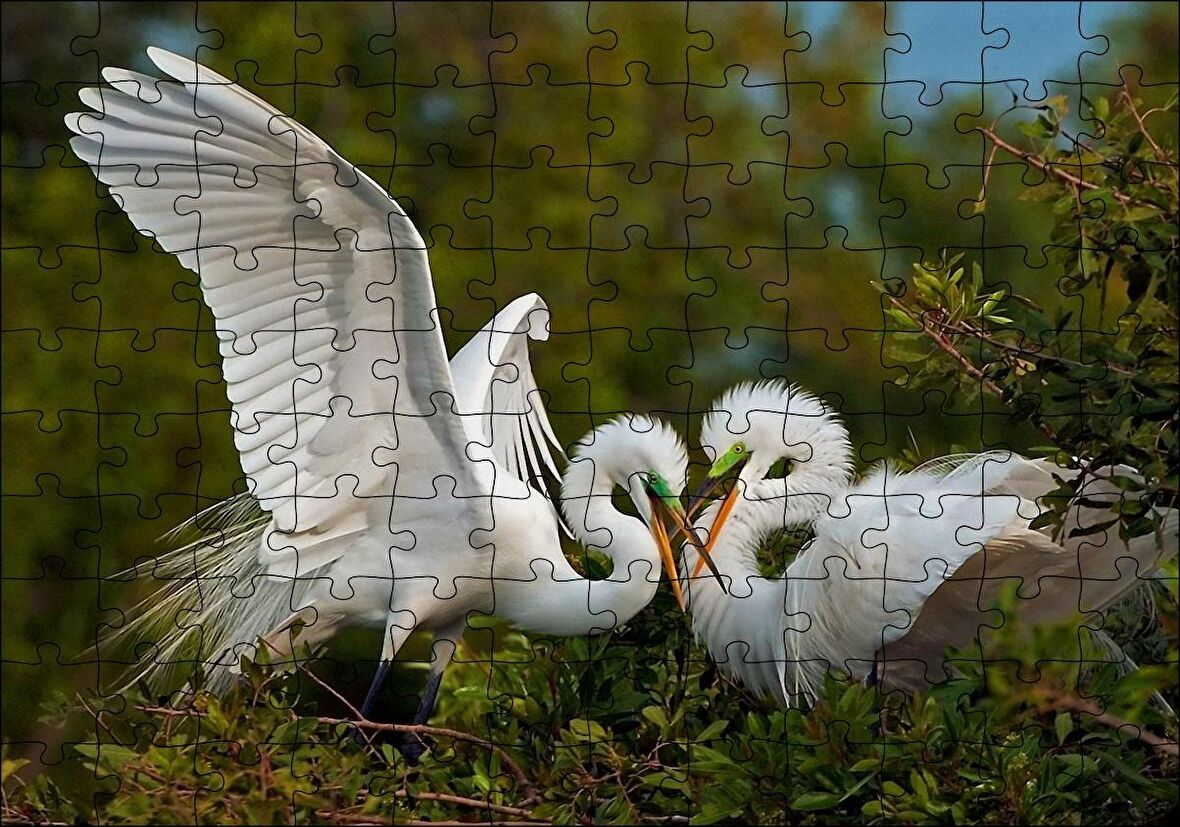 Cakapuzzle Birbirine Kur Yapan Ak Balıkçıl Kuşları Puzzle Yapboz MDF Ahşap