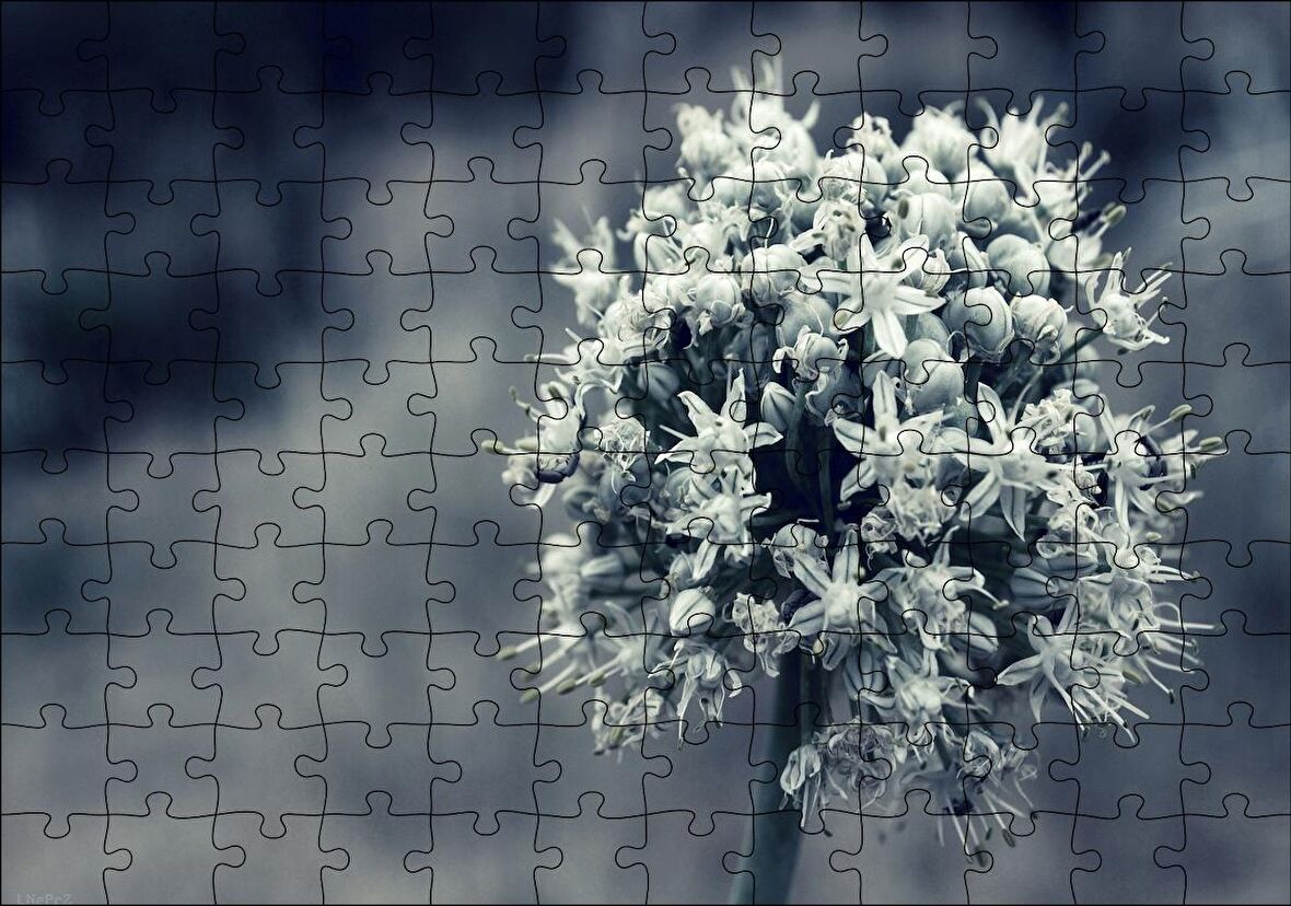 Cakapuzzle Dal ve Tomurcuk Şeklinde Çiçek Siyah Beyaz Puzzle Yapboz MDF Ahşap
