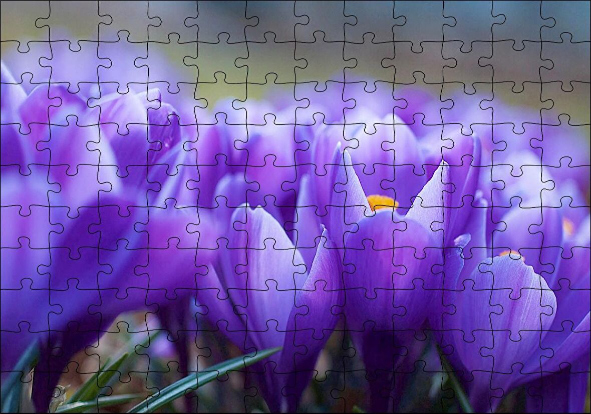 Cakapuzzle Eflatun Renkli Çiçekler Yakın Çekim Puzzle Yapboz MDF Ahşap