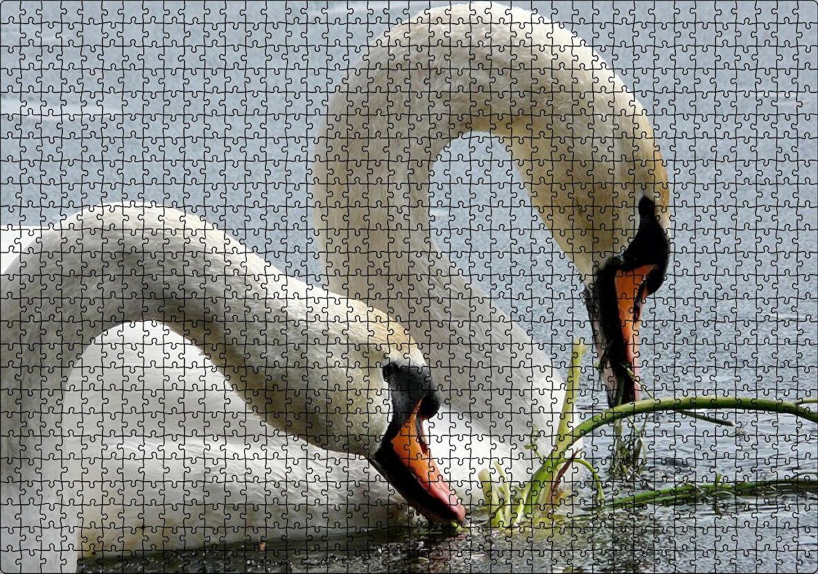 Cakapuzzle Gölde Beslenen Bir Çift Beyaz Kuğu Puzzle Yapboz MDF Ahşap
