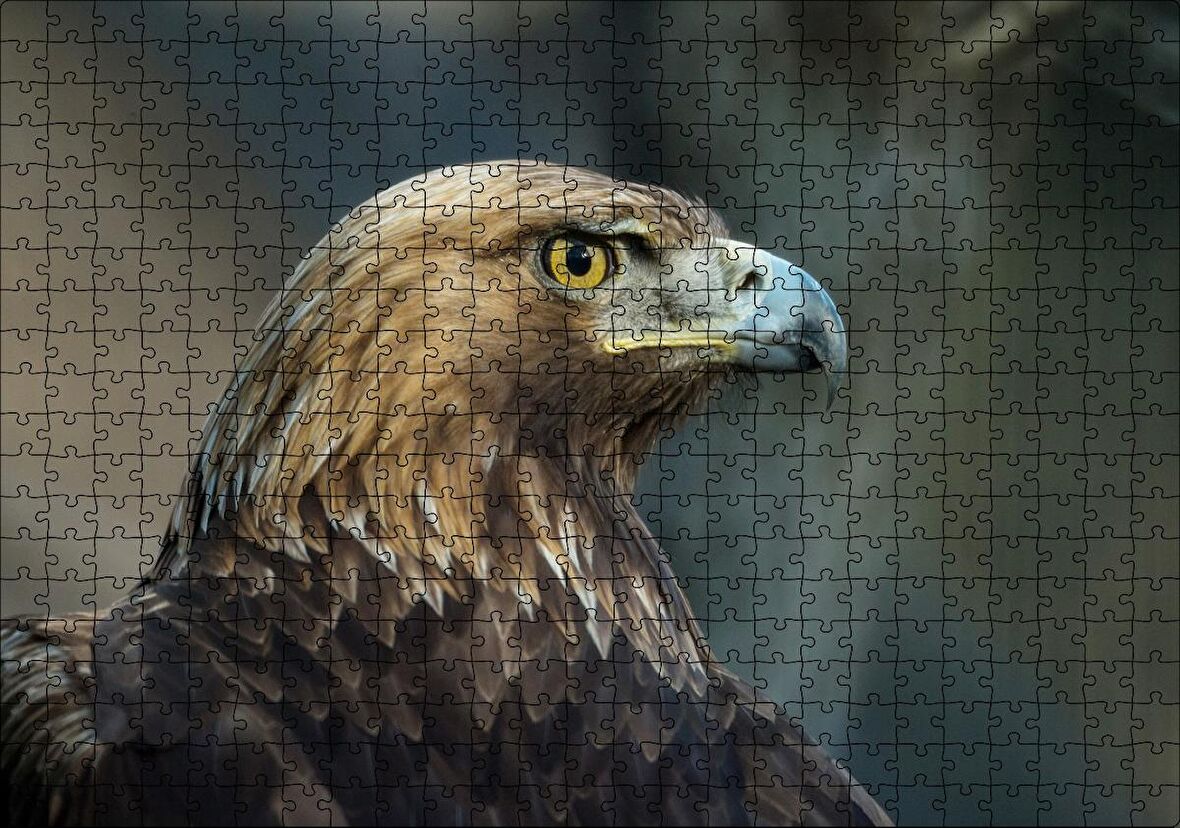 Cakapuzzle Keskin Bakışlı Kartal Yakın Profil Puzzle Yapboz MDF Ahşap