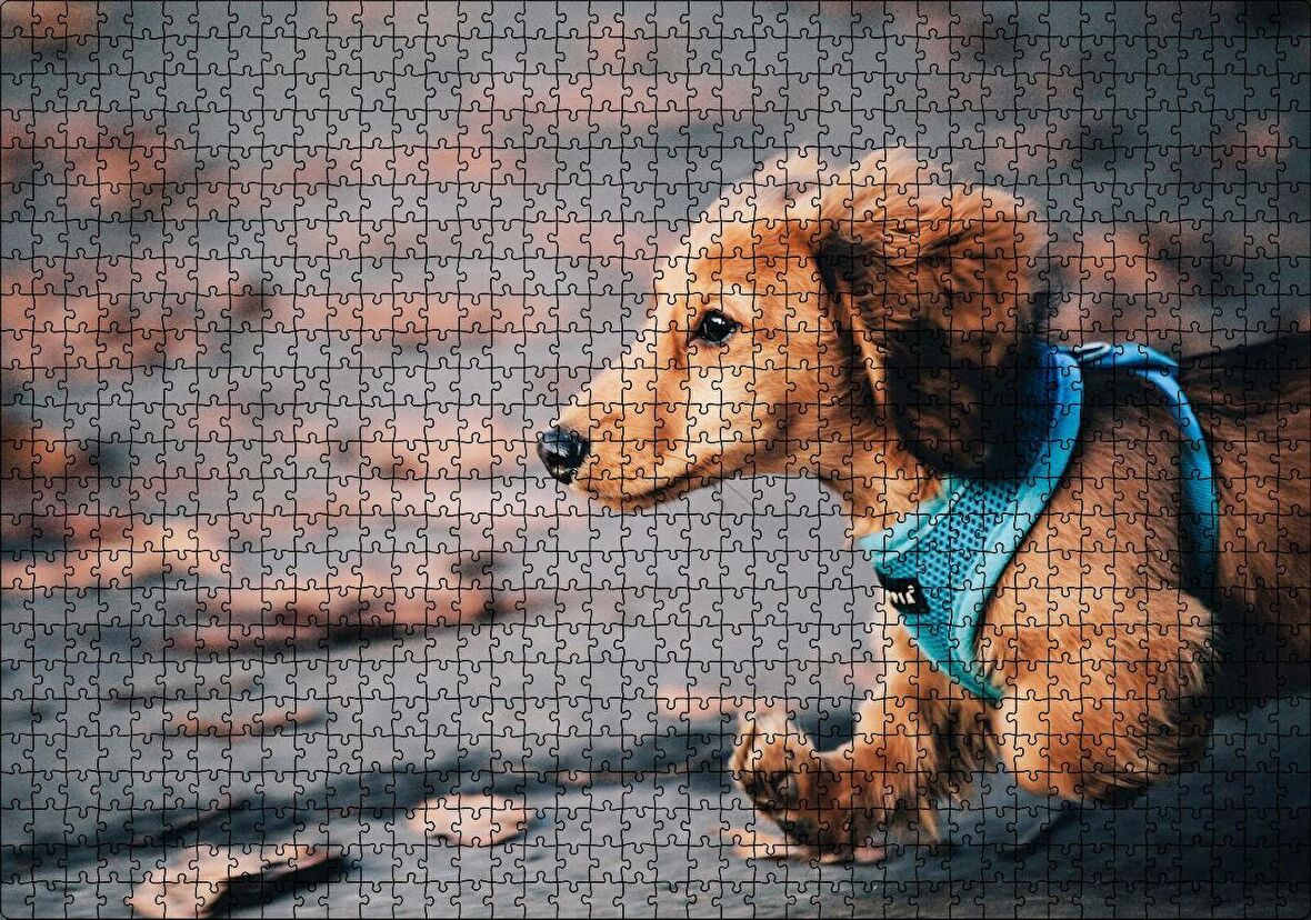 Cakapuzzle Koşan Sevimli Kahverengi Köpek Puzzle Yapboz MDF Ahşap