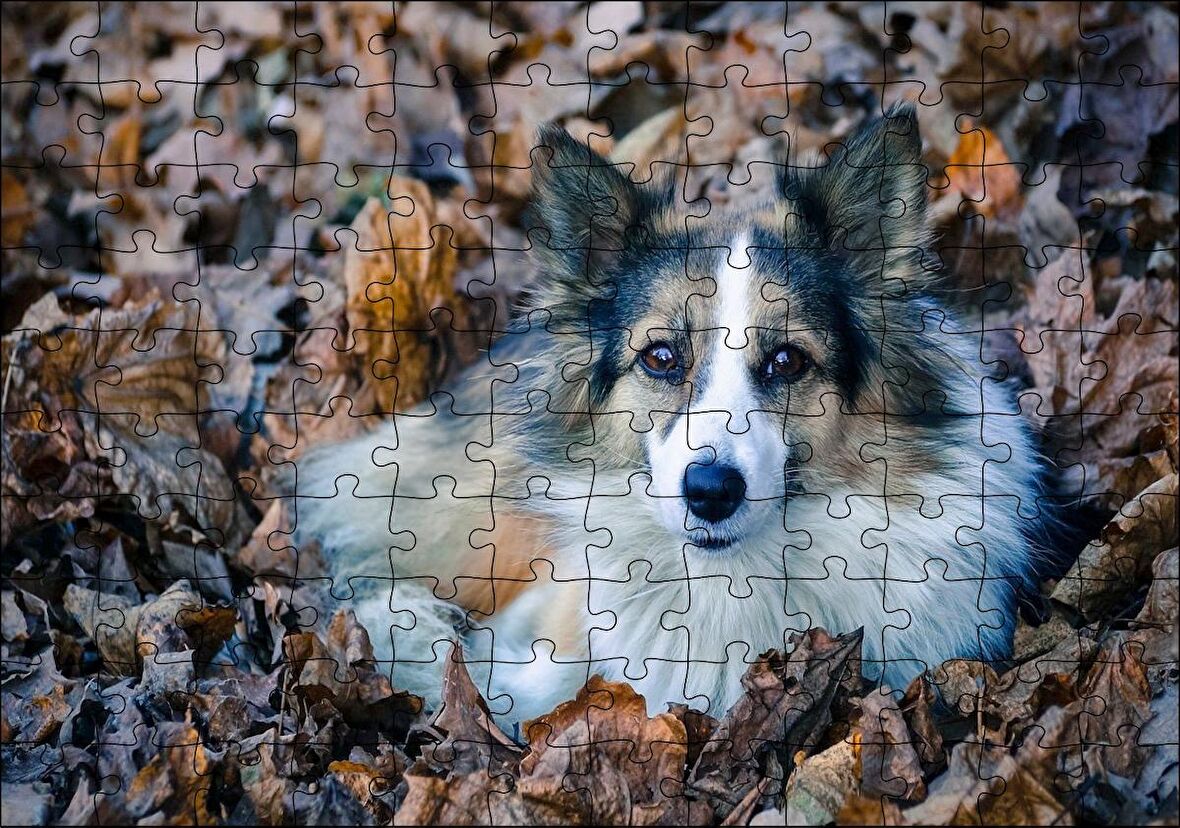 Cakapuzzle Kuru Yapraklar Arasındaki Sevimli Köpek Puzzle Yapboz MDF Ahşap