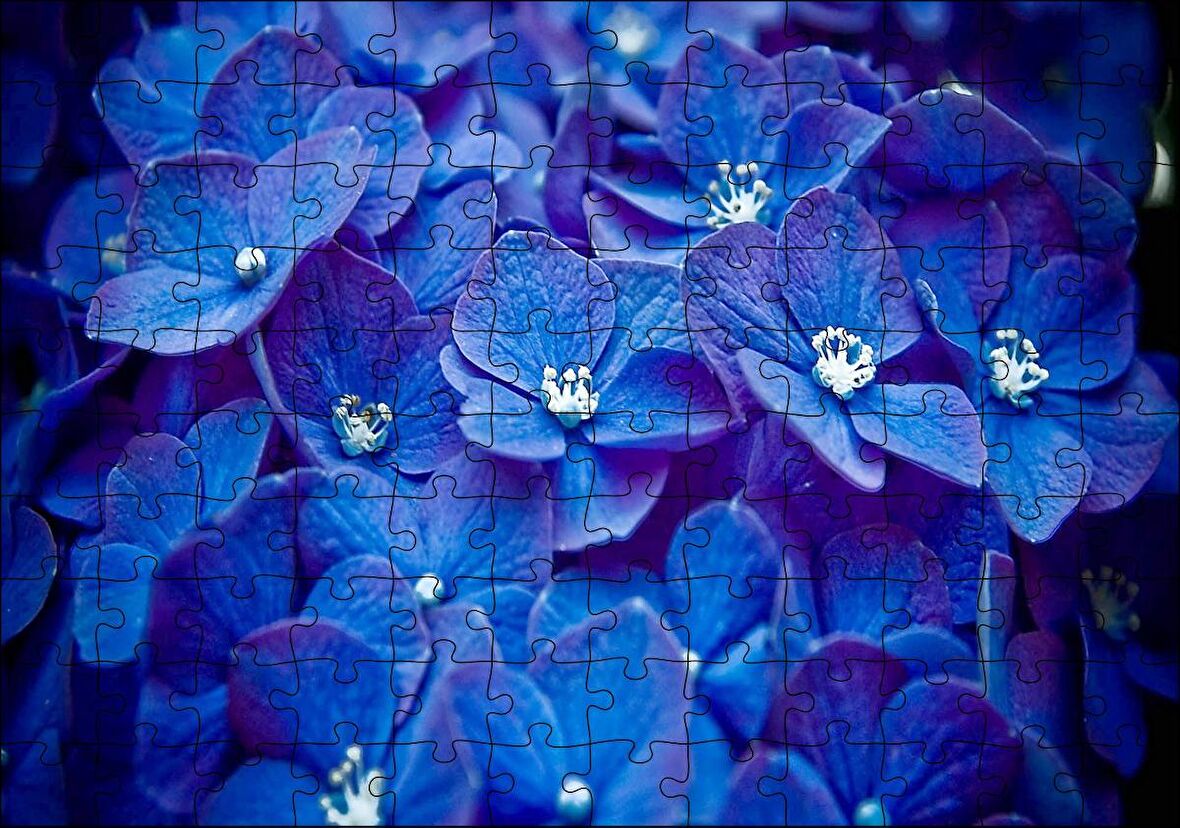 Cakapuzzle Mavi Taç Yapraklı Çiçekler ve Beyaz Tohumları Puzzle Yapboz MDF Ahşap