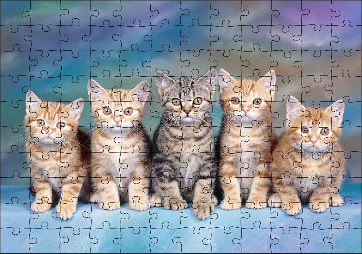 Cakapuzzle Mavi Zeminde Oturan Sarmanlar ve Tekir Puzzle Yapboz MDF Ahşap