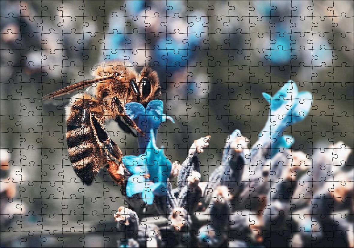 Cakapuzzle Mor Siyah Çiçekten Polen Toplayan Arı Puzzle Yapboz MDF Ahşap