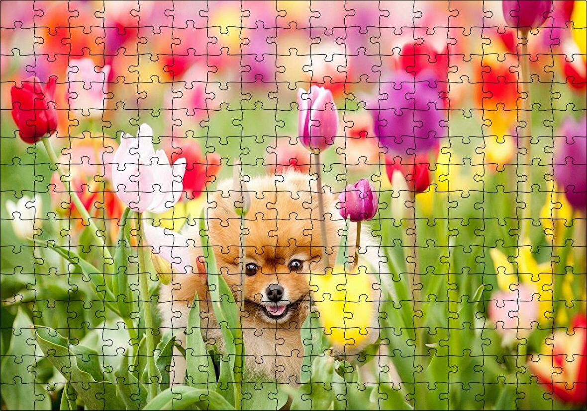 Cakapuzzle Rengarenk Laleler Arasındaki Sevimli Kahverengi Köpek Puzzle Yapboz MDF Ahşap
