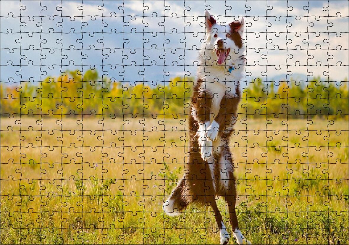 Cakapuzzle Sarı Çayırda Zıplayan Kahverengi Beyaz Köpek Puzzle Yapboz MDF Ahşap