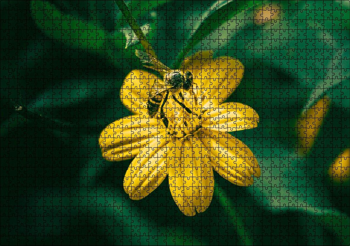 Cakapuzzle Sarı Çiçekten Polen Toplayan Arı Puzzle Yapboz MDF Ahşap