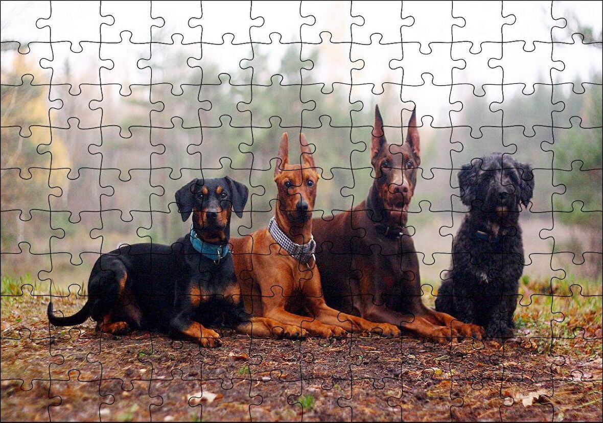 Cakapuzzle Sonbahar Yaprakları Üzerindeki 4 Köpek Puzzle Yapboz MDF Ahşap