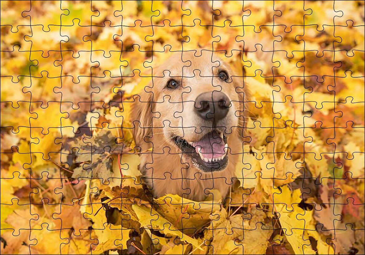 Cakapuzzle Sonbahar Yaprakları Üzerindeki Kahverengi Köpek Puzzle Yapboz MDF Ahşap