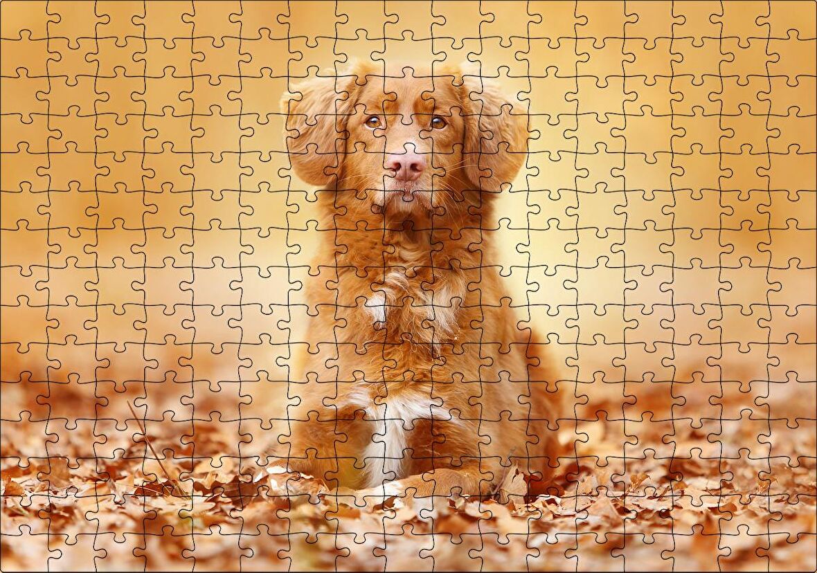 Cakapuzzle Sonbahar Yaprakları Üzerindeki Kahverengi Köpek Puzzle Yapboz MDF Ahşap