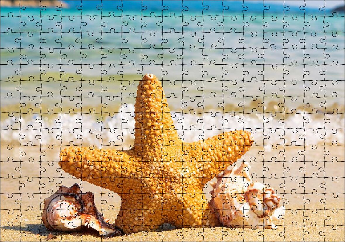 Cakapuzzle Deniz Yıldızı Deniz Kabukları ve Berrak Kumsal Puzzle Yapboz MDF Ahşap