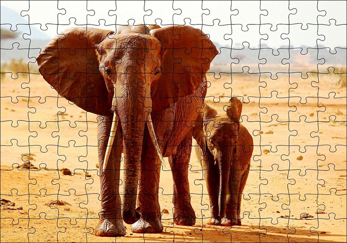 Cakapuzzle Afrika Savanada Anne Fil ve Yavrusu Puzzle Yapboz MDF Ahşap