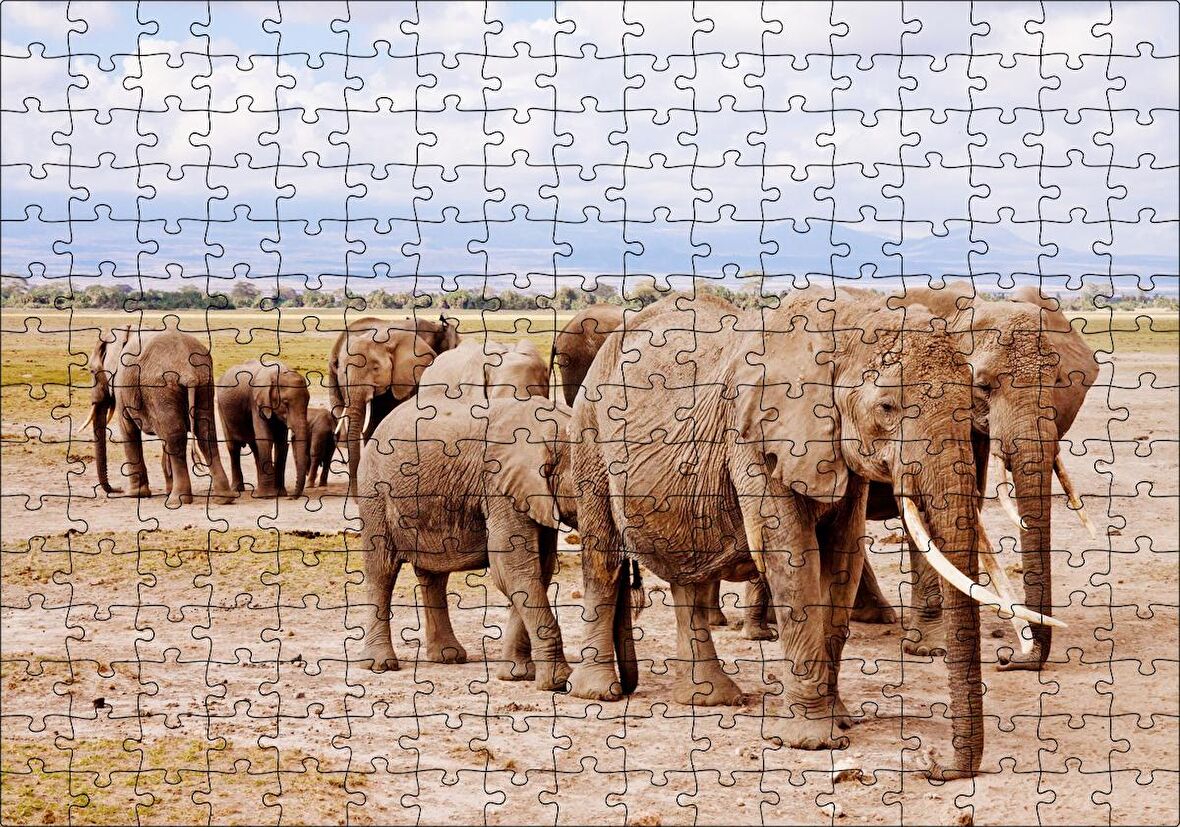 Cakapuzzle Afrika Savanada Filler Bir Arada Puzzle Yapboz MDF Ahşap