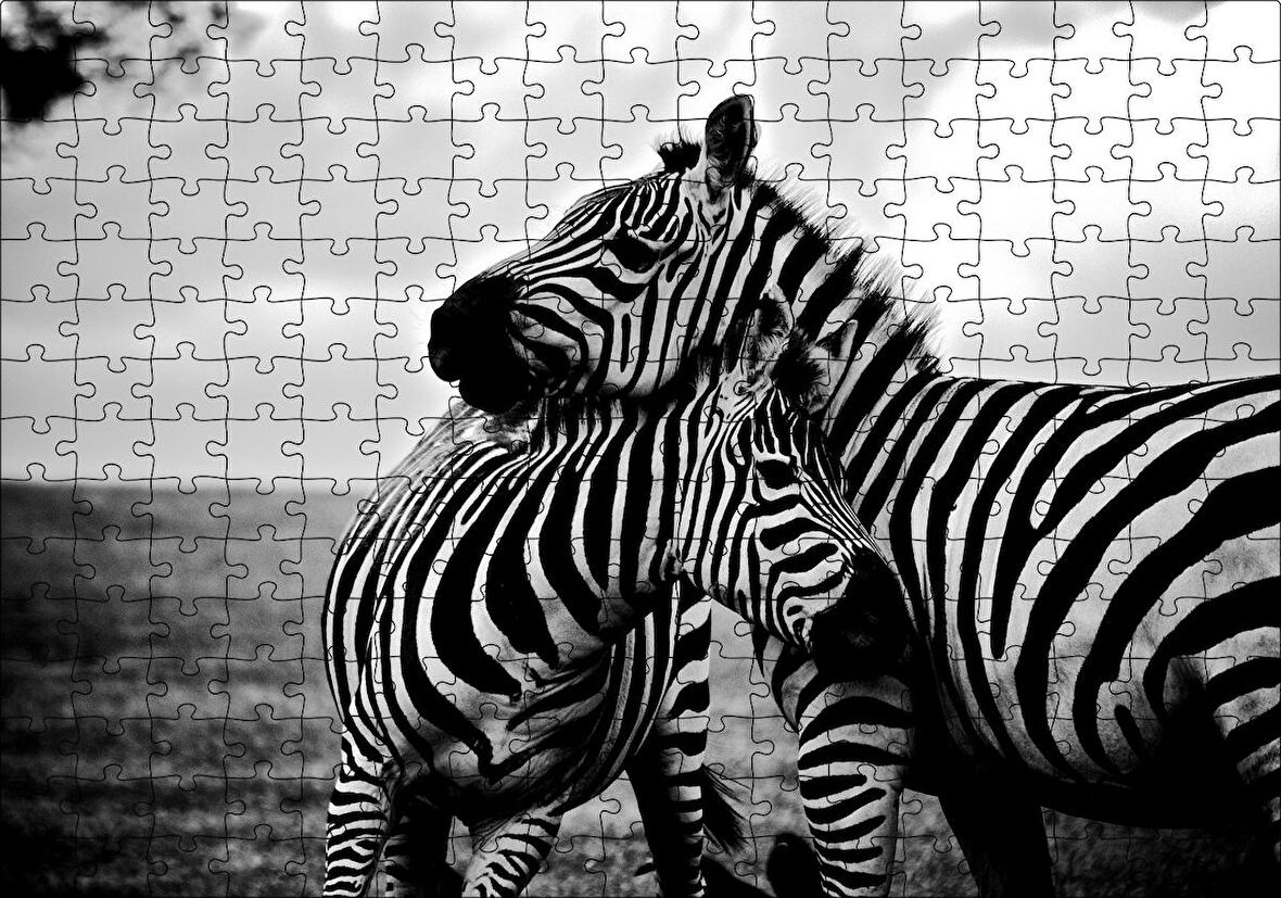 Cakapuzzle Anne Zebra ve Yavrusu Siyah Beyaz Puzzle Yapboz MDF Ahşap