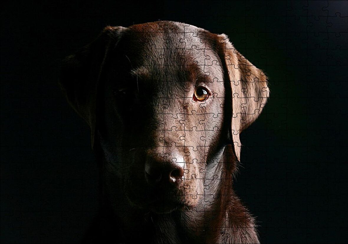 Cakapuzzle Av Köpeği Evcil Hayvanla Puzzle Yapboz MDF Ahşap