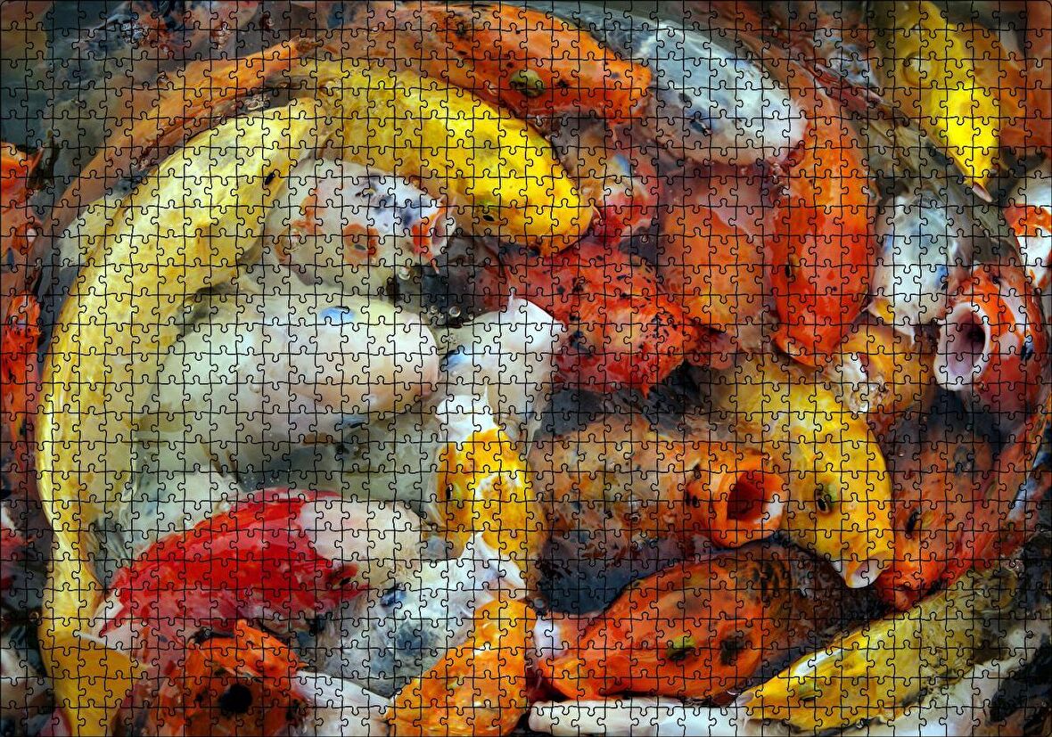 Cakapuzzle Beslenmek İçin Bekleyen Koi Balıkları Puzzle Yapboz MDF Ahşap