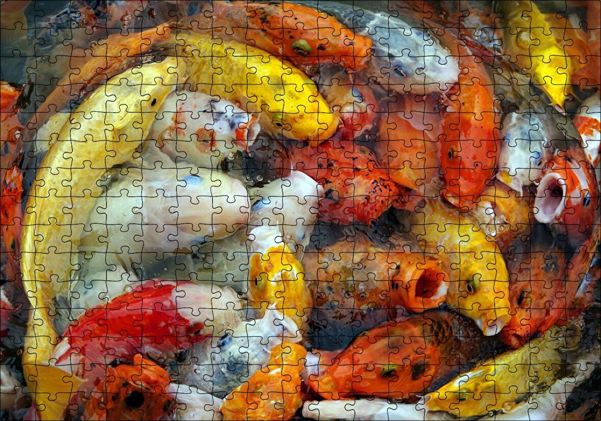 Cakapuzzle Beslenmek İçin Bekleyen Koi Balıkları Puzzle Yapboz MDF Ahşap