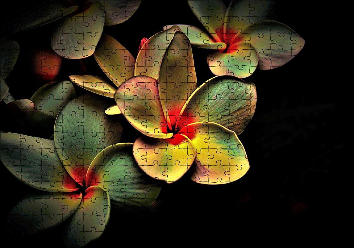 Cakapuzzle Bitkinin Dev Yaprakları Karanlık Arka Plan Puzzle Yapboz MDF Ahşap