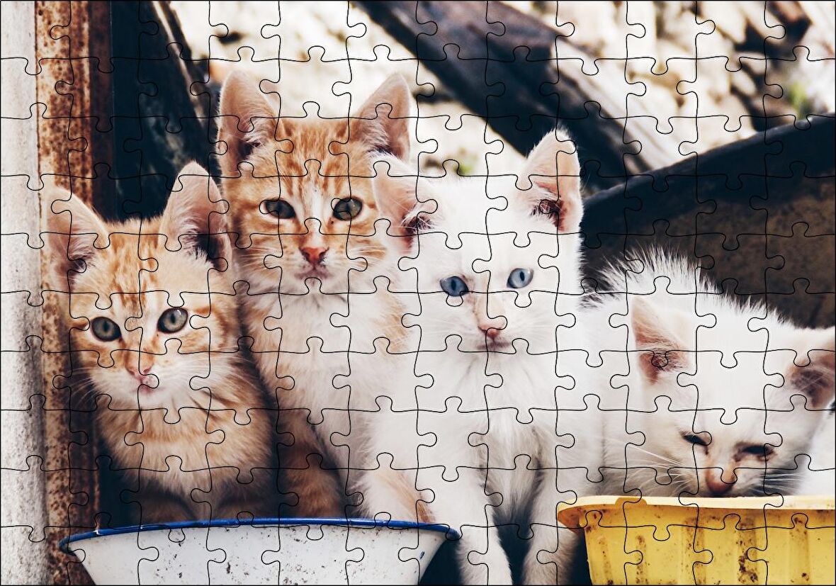 Cakapuzzle Eski Pencerede Sarı ve Beyaz Yavru Kediler Puzzle Yapboz MDF Ahşap