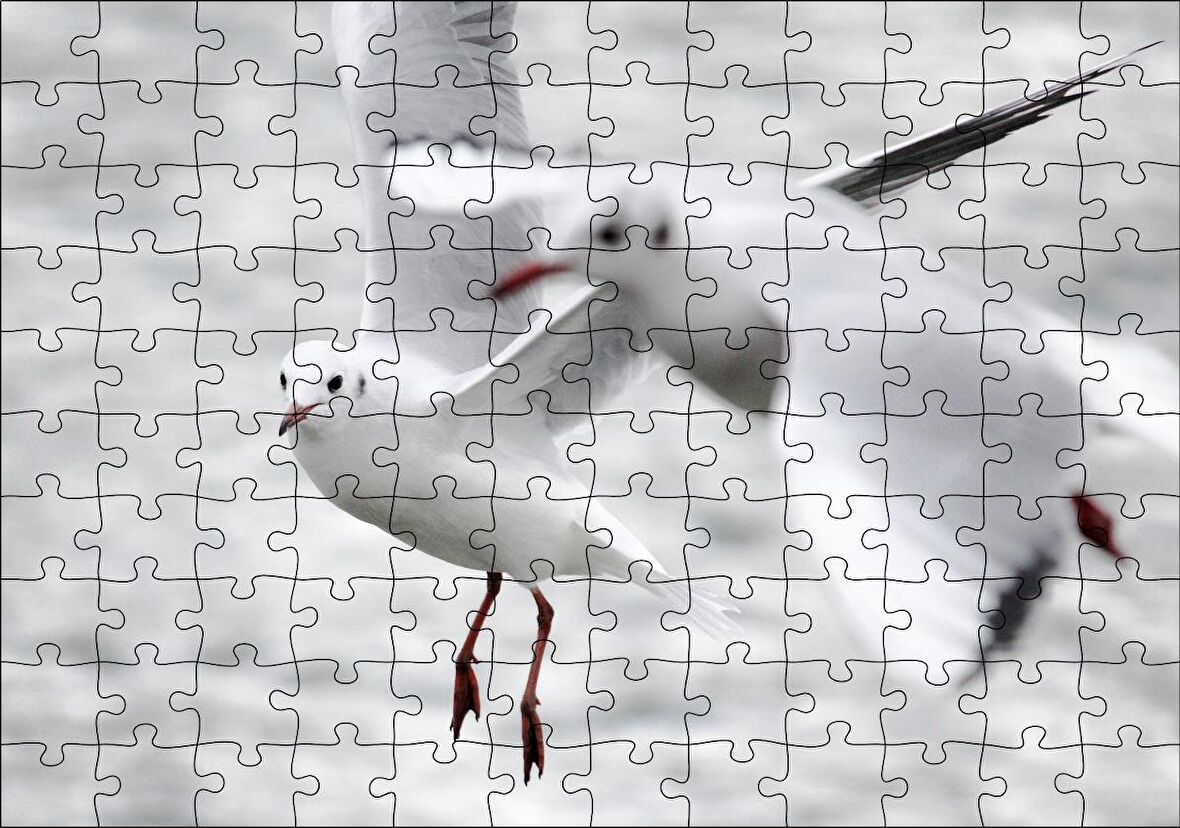 Cakapuzzle İki Martı Yakın Çekim Flu Deniz Arka Plan Puzzle Yapboz MDF Ahşap