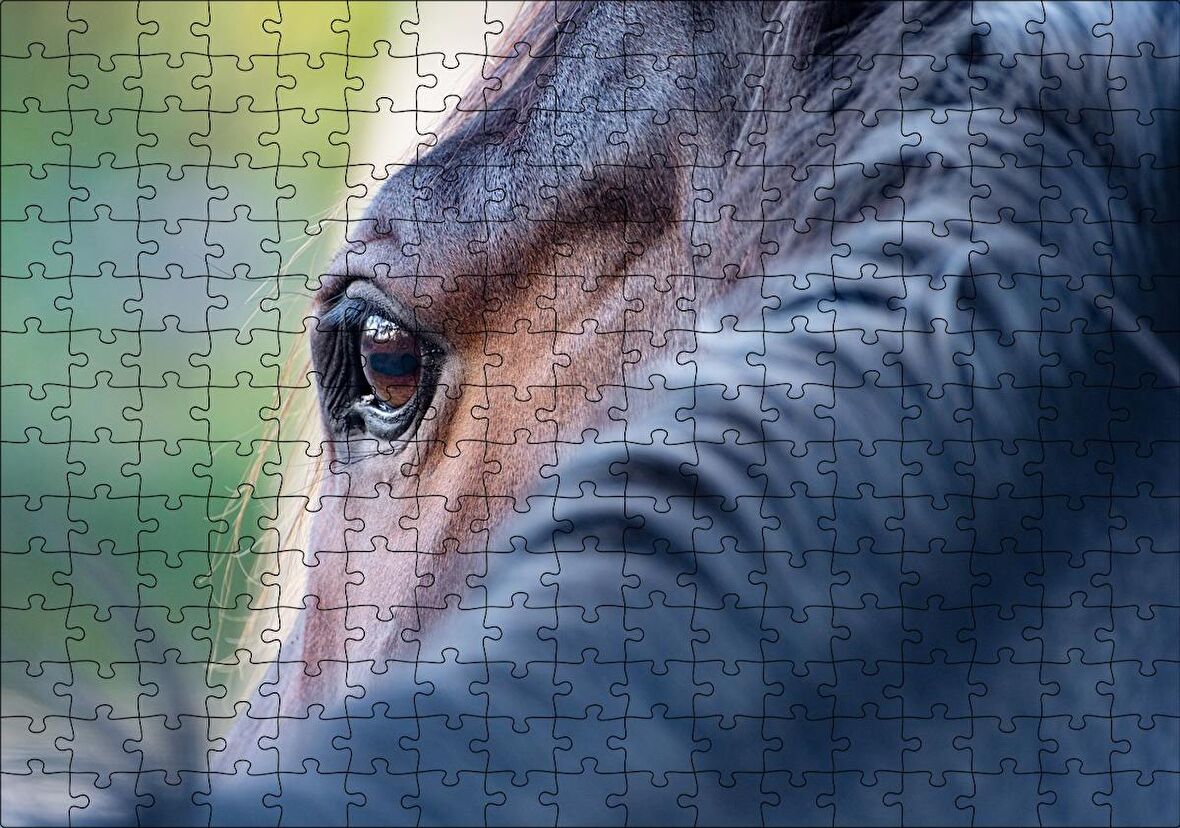 Cakapuzzle Kahverengi At Gözü Arkadan Yakın Çekim Puzzle Yapboz MDF Ahşap