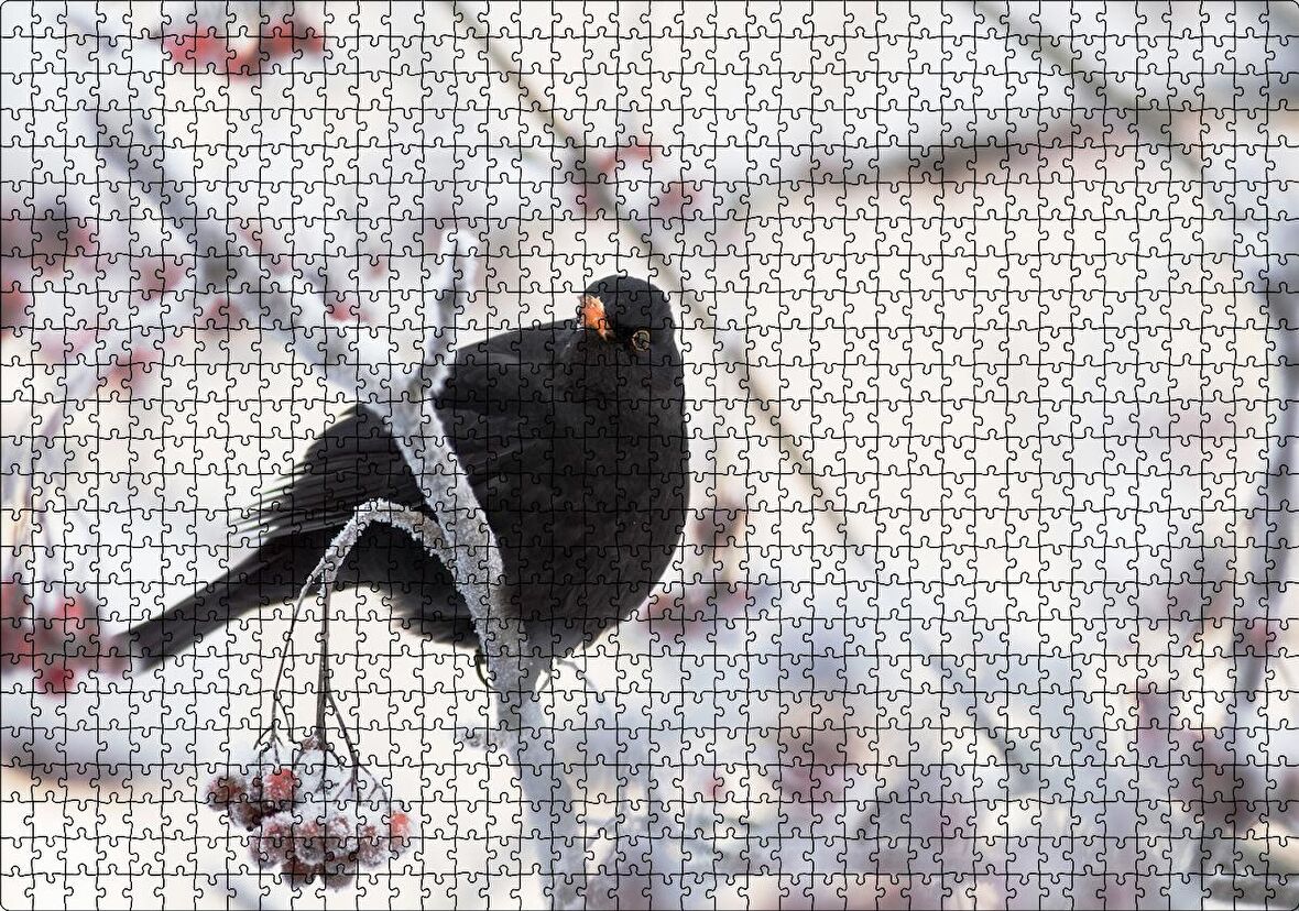 Cakapuzzle Karlı Dalların Üzerindeki Karatavuk Puzzle Yapboz MDF Ahşap