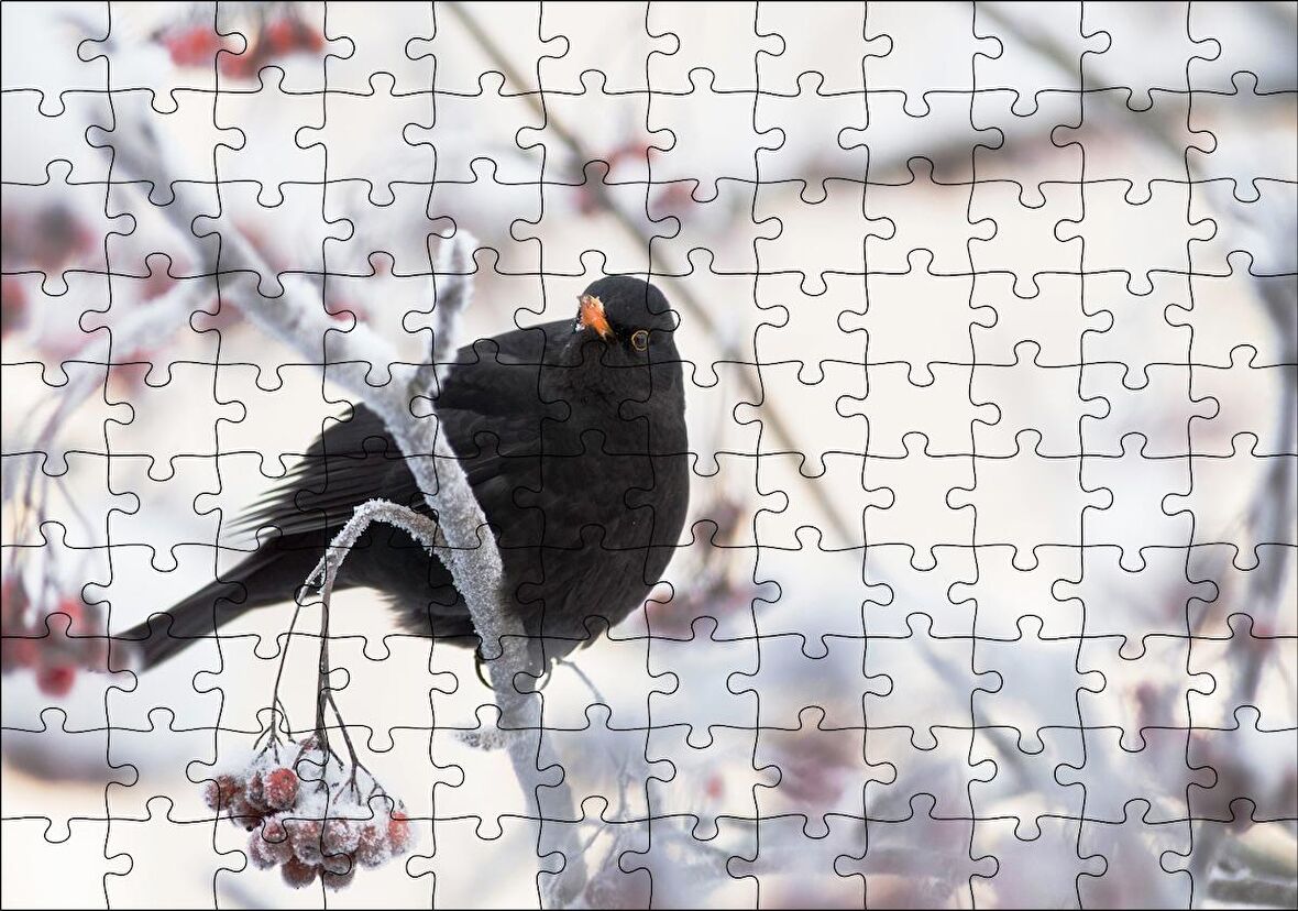 Cakapuzzle Karlı Dalların Üzerindeki Karatavuk Puzzle Yapboz MDF Ahşap