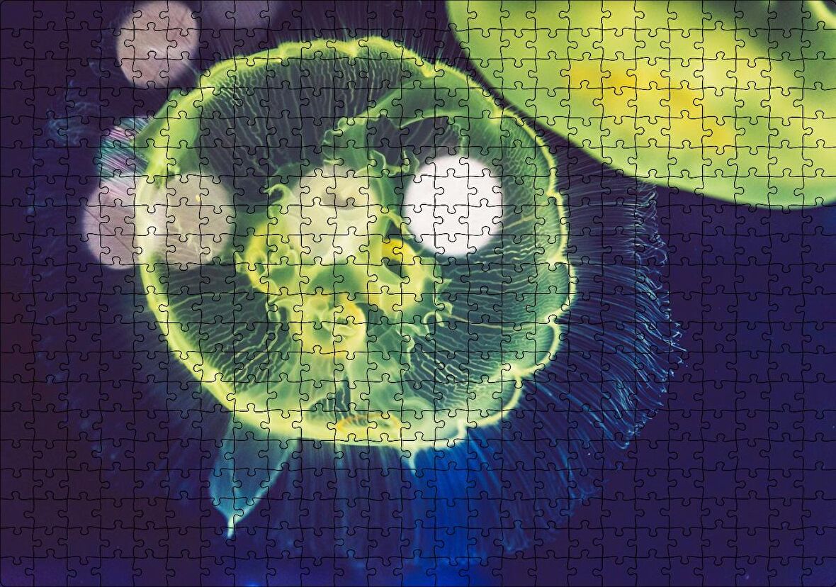 Cakapuzzle Muhteşem Güzellikte Mavi Yeşil Denizanası Puzzle Yapboz MDF Ahşap