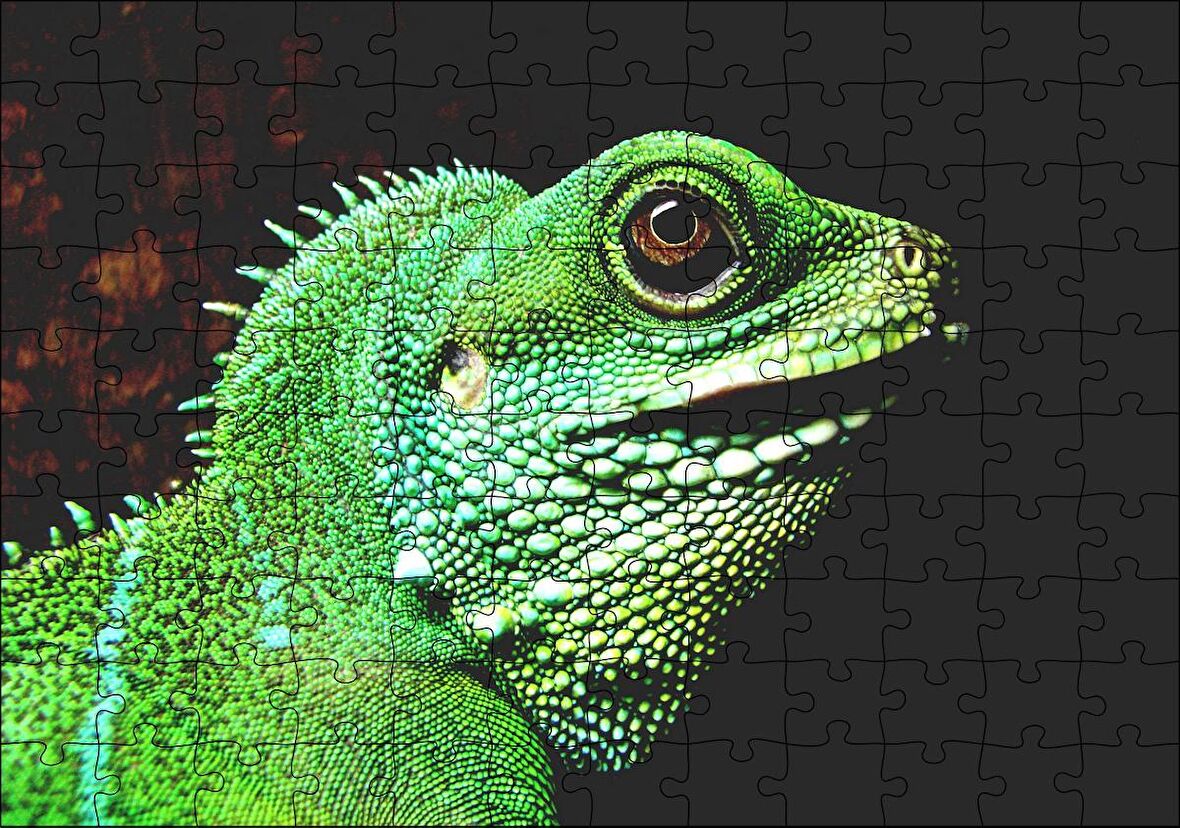 Cakapuzzle Parlak Yeşil Renkleriyle Kertenkele Puzzle Yapboz MDF Ahşap