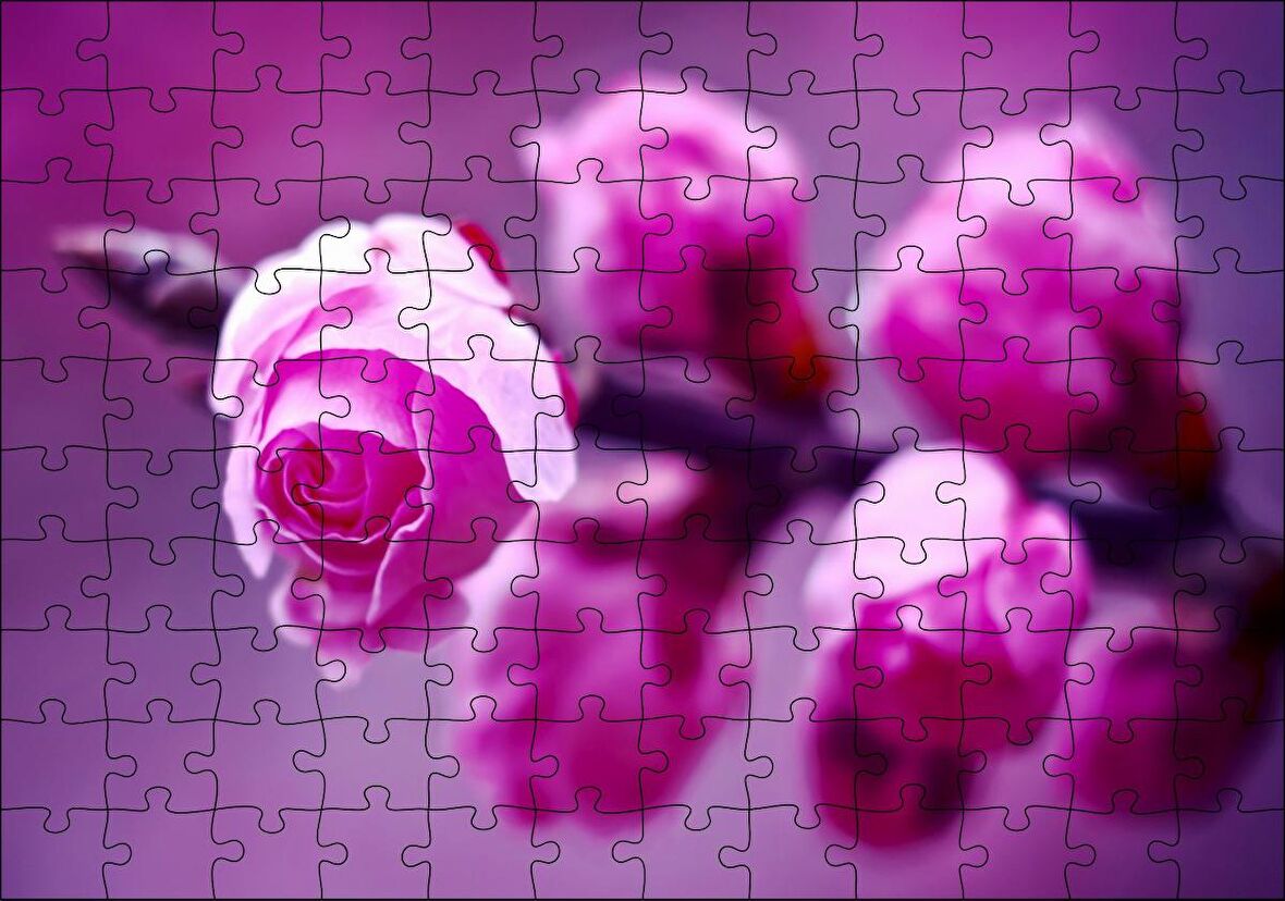 Cakapuzzle Pembe Gül Dalı Görseli Puzzle Yapboz MDF Ahşap