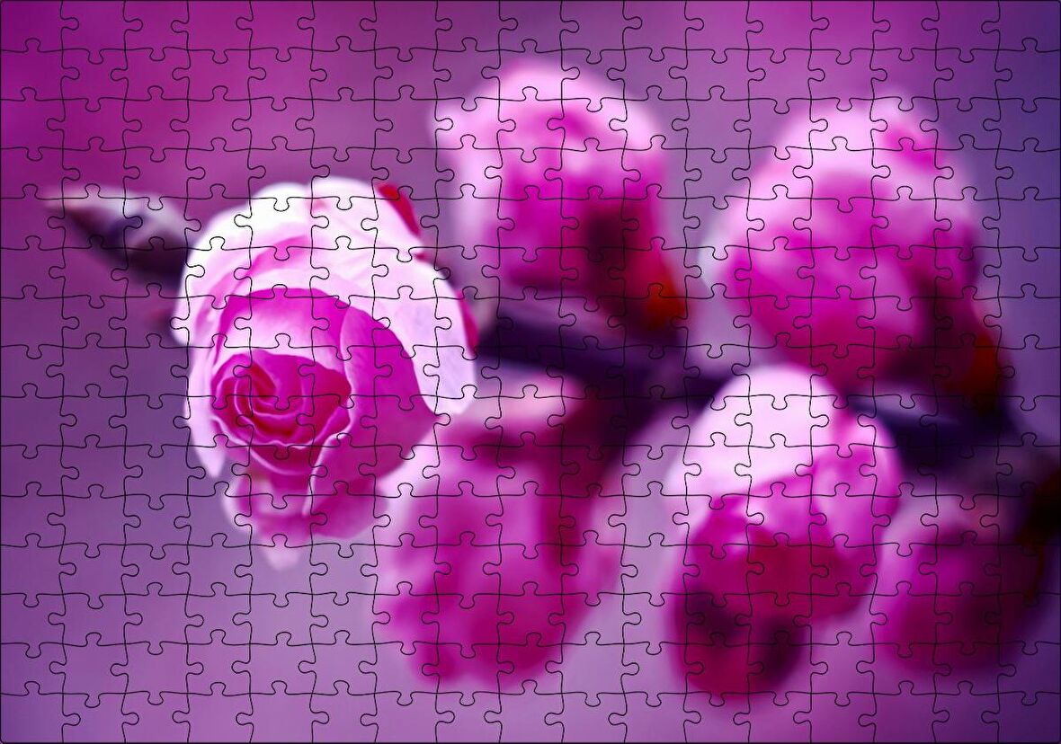 Cakapuzzle Pembe Gül Dalı Görseli Puzzle Yapboz MDF Ahşap